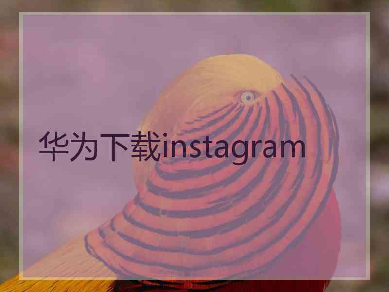 华为下载instagram
