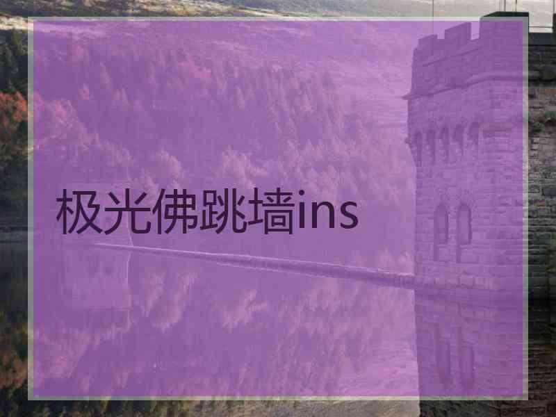 极光佛跳墙ins