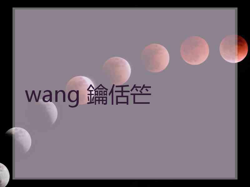 wang 鑰佸笀