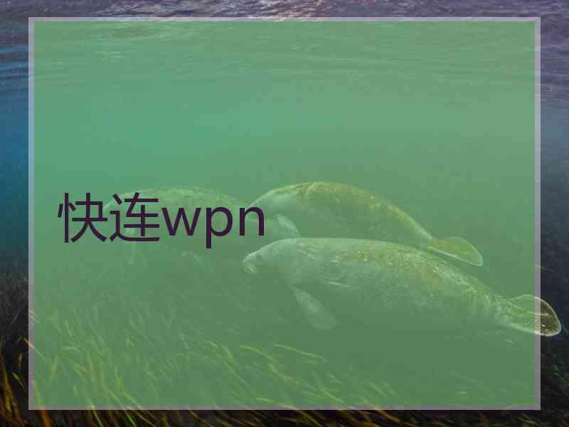 快连wpn