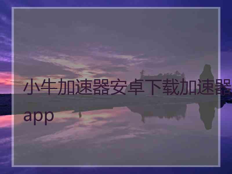 小牛加速器安卓下载加速器app