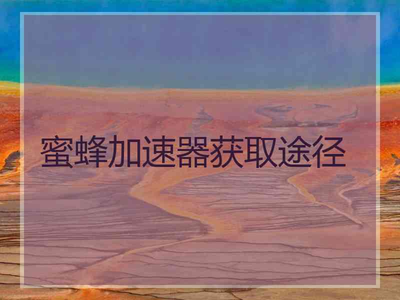 蜜蜂加速器获取途径