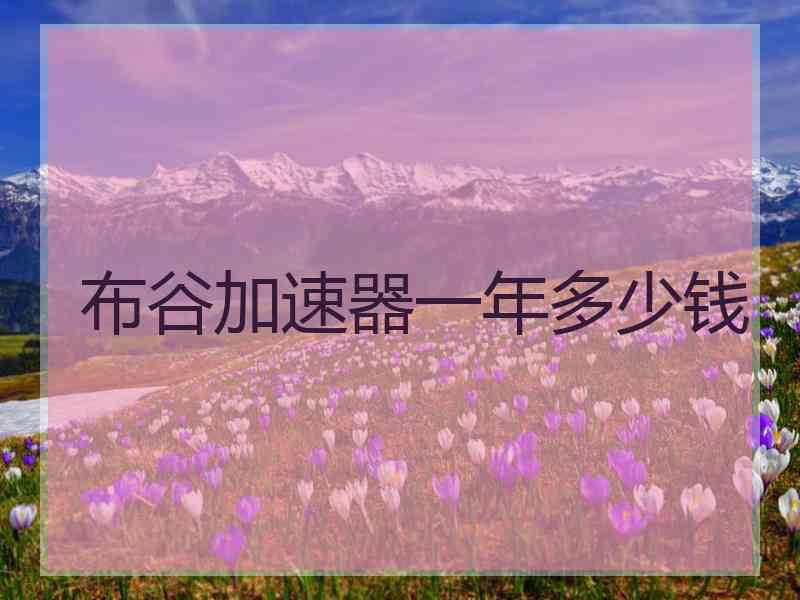 布谷加速器一年多少钱