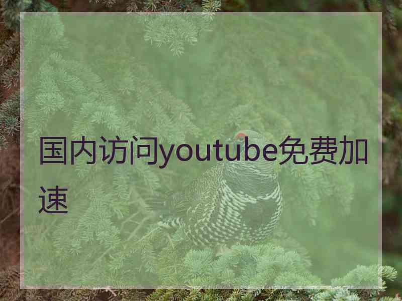国内访问youtube免费加速