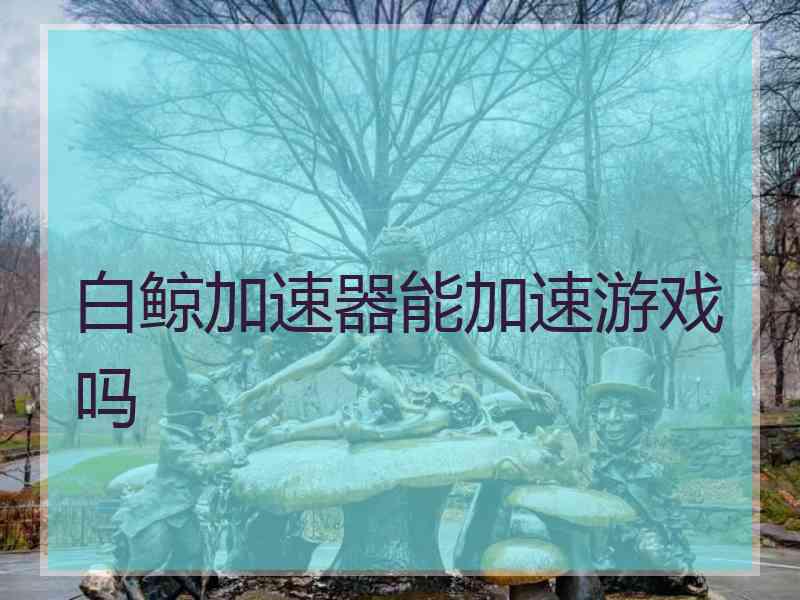 白鲸加速器能加速游戏吗
