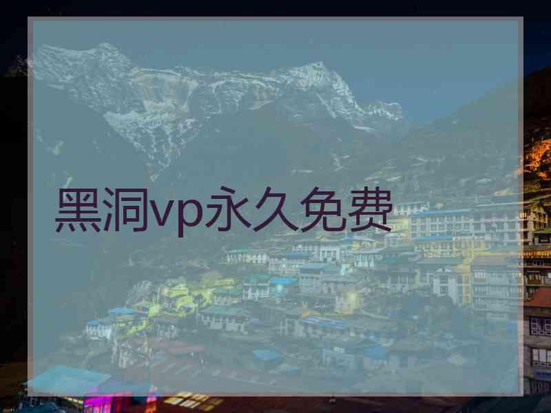 黑洞vp永久免费
