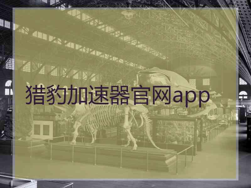 猎豹加速器官网app