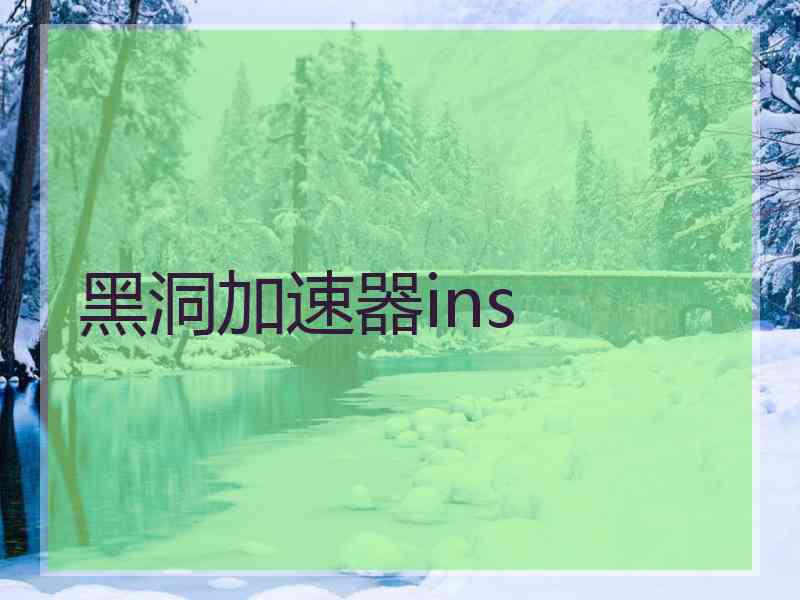黑洞加速器ins