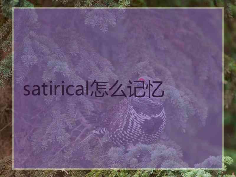satirical怎么记忆