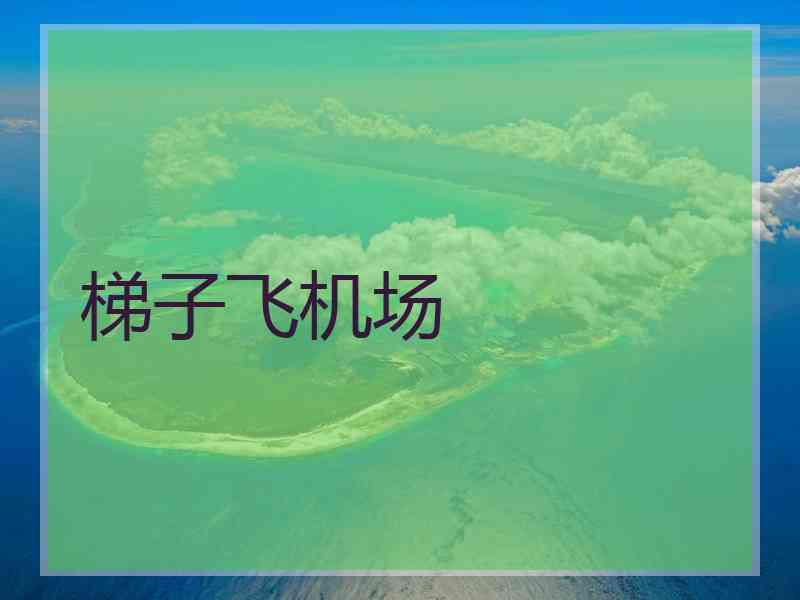 梯子飞机场