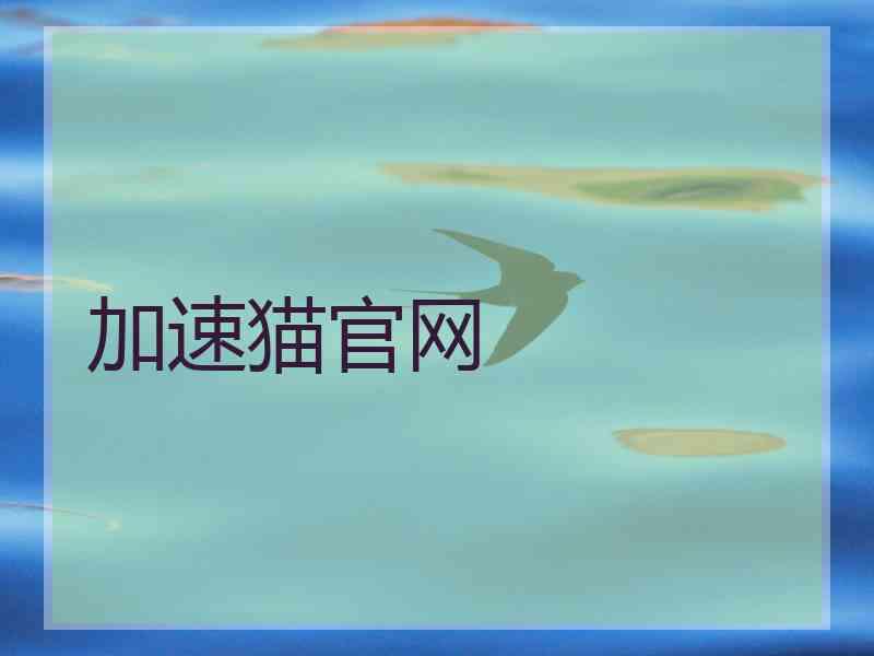 加速猫官网
