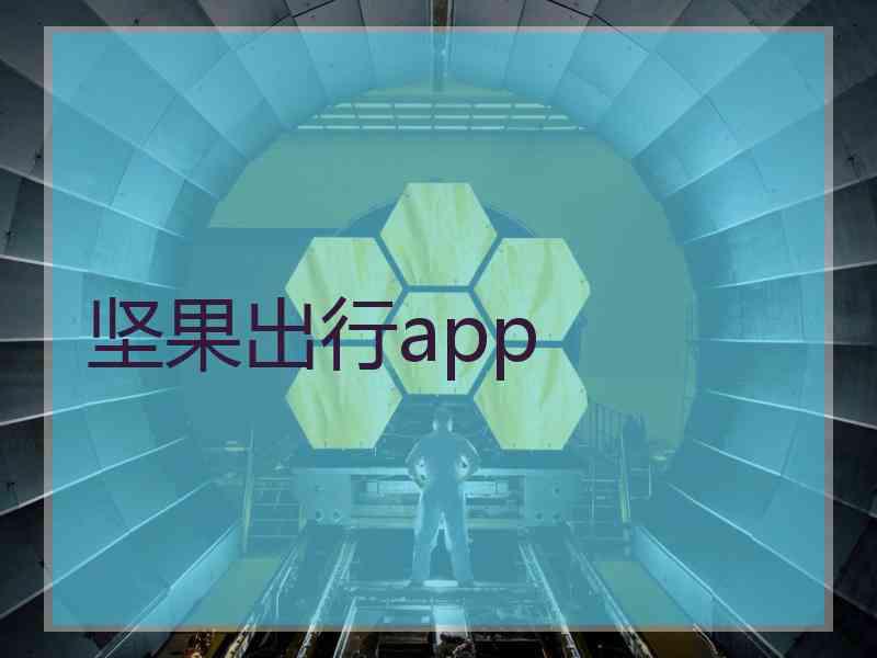 坚果出行app