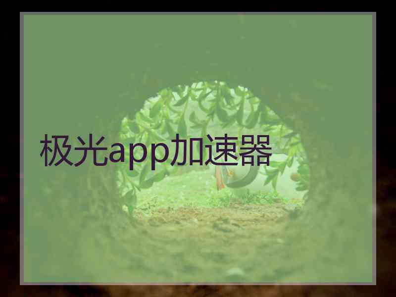 极光app加速器