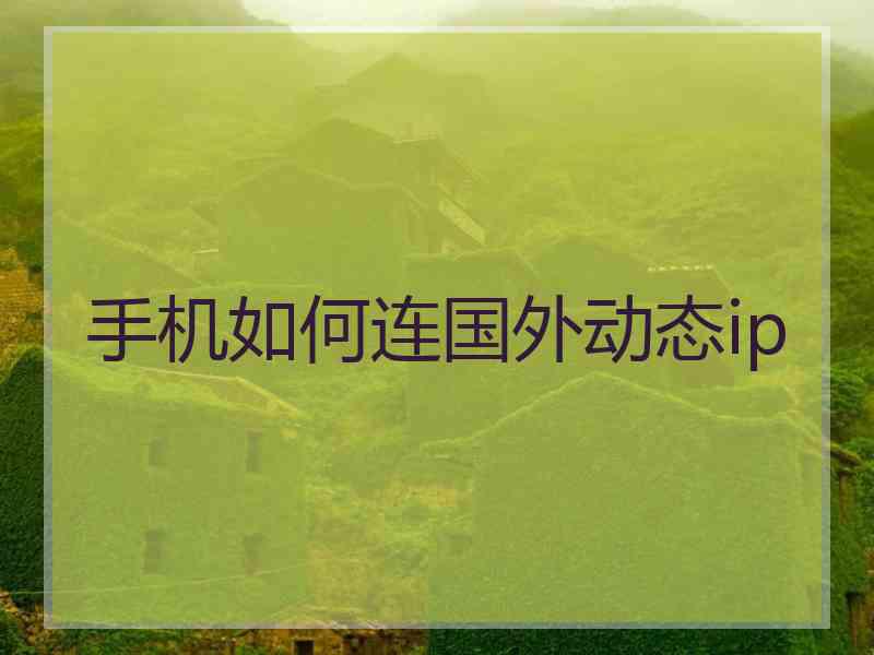 手机如何连国外动态ip