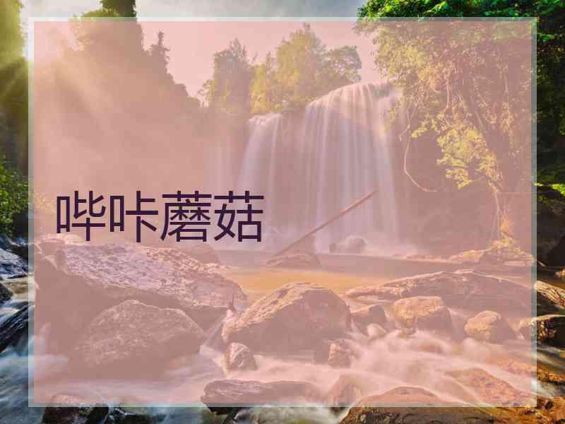 哔咔蘑菇