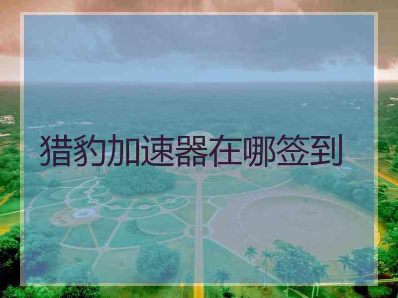 猎豹加速器在哪签到