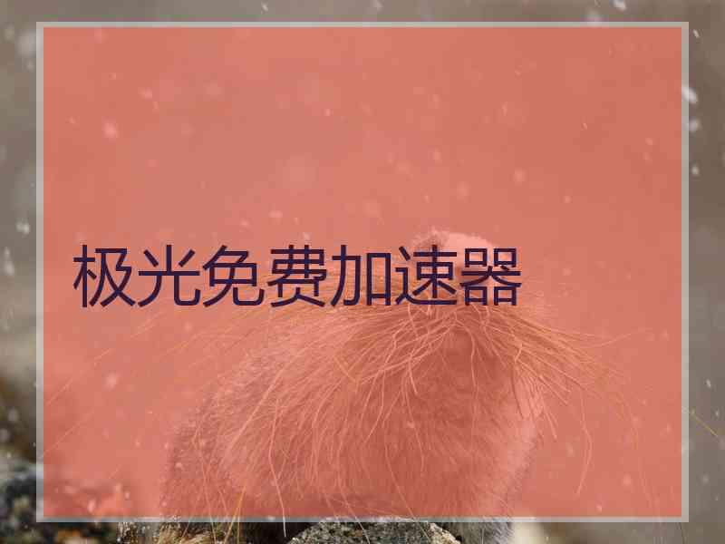 极光免费加速器