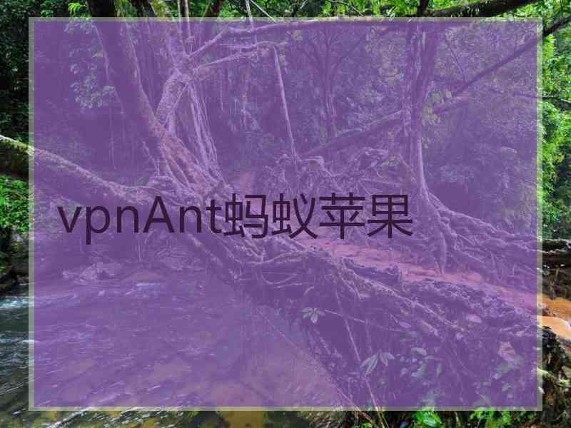 vpnAnt蚂蚁苹果