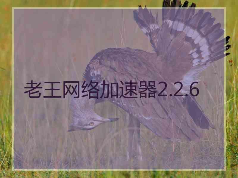 老王网络加速器2.2.6