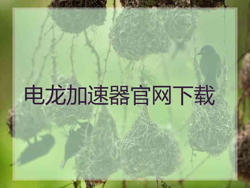 电龙加速器官网下载