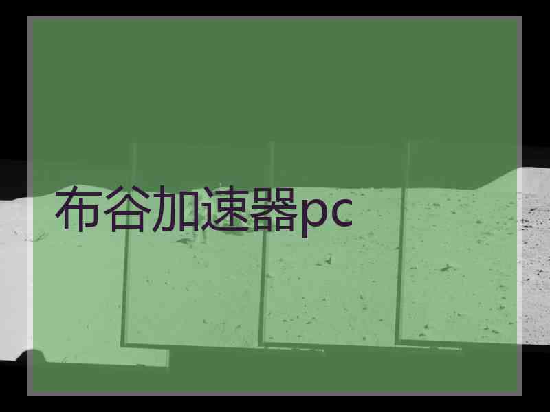 布谷加速器pc