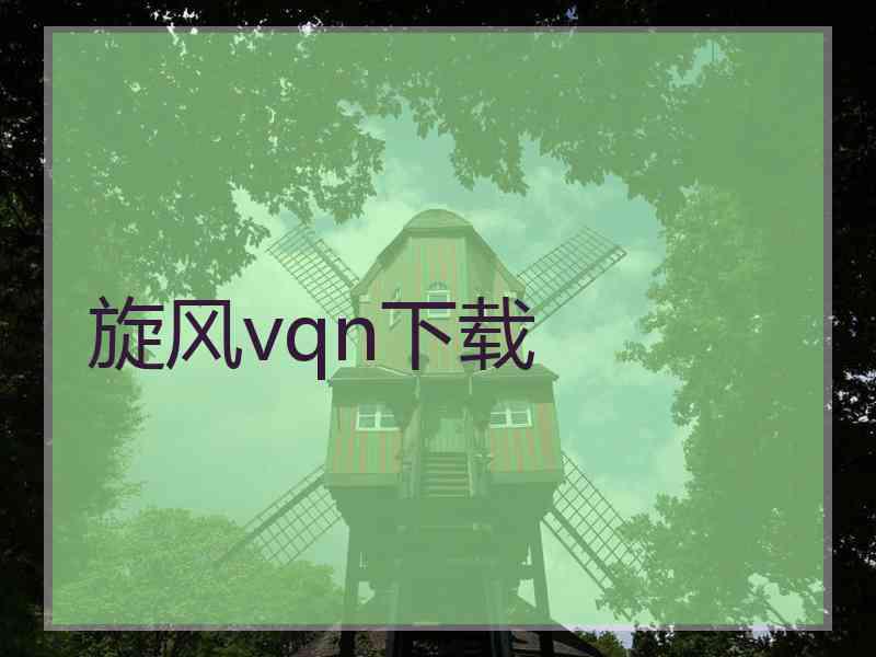 旋风vqn下载