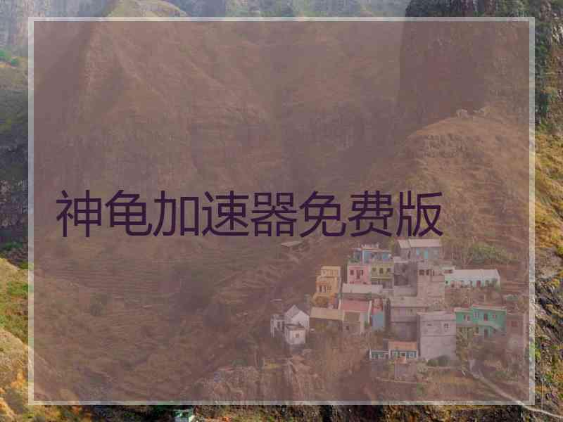 神龟加速器免费版