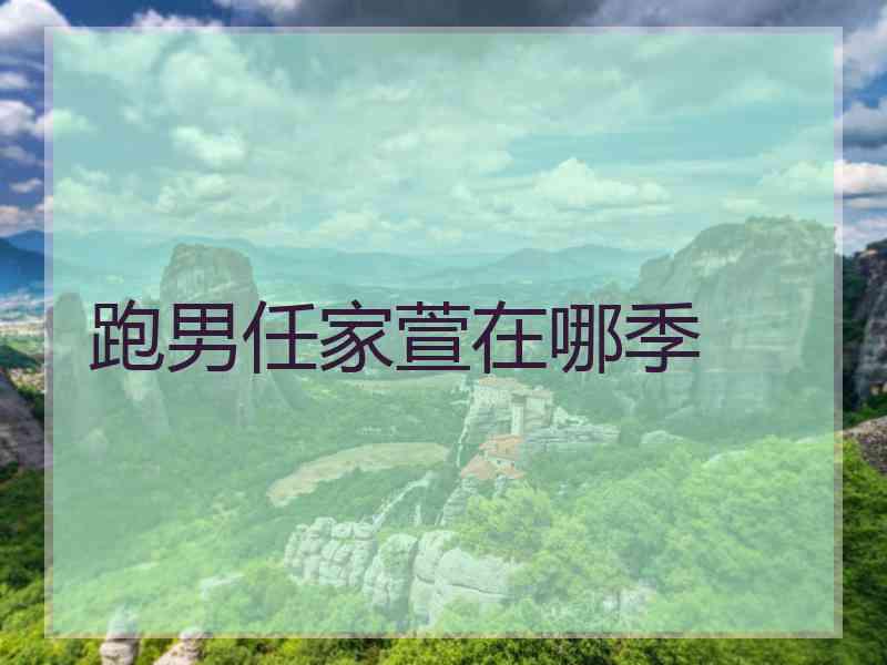 跑男任家萱在哪季