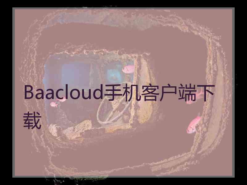 Baacloud手机客户端下载