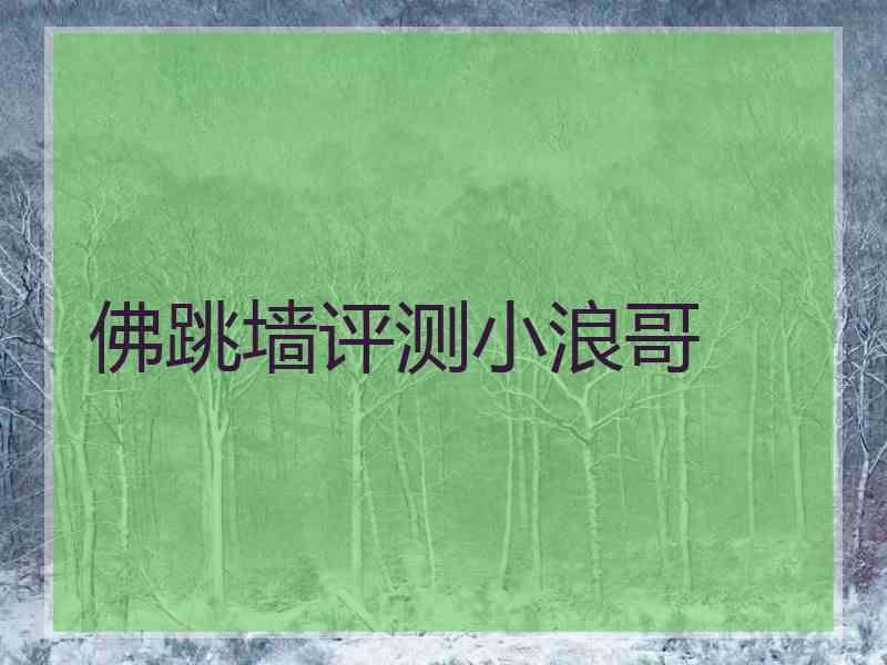 佛跳墙评测小浪哥