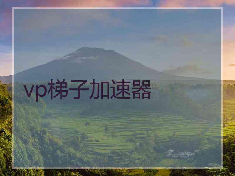 vp梯子加速器