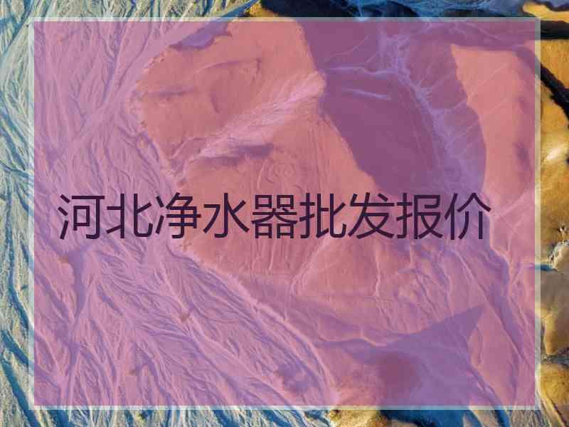 河北净水器批发报价