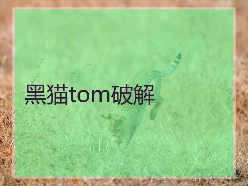 黑猫tom破解