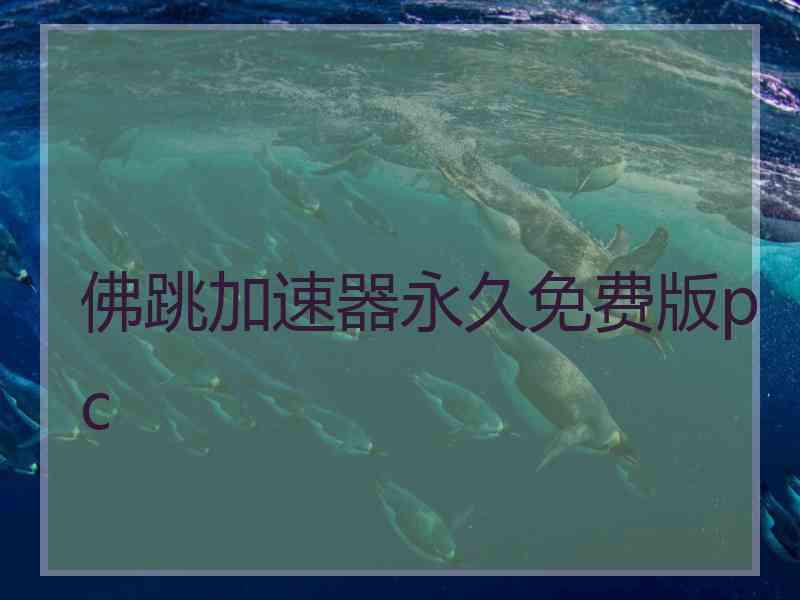 佛跳加速器永久免费版pc