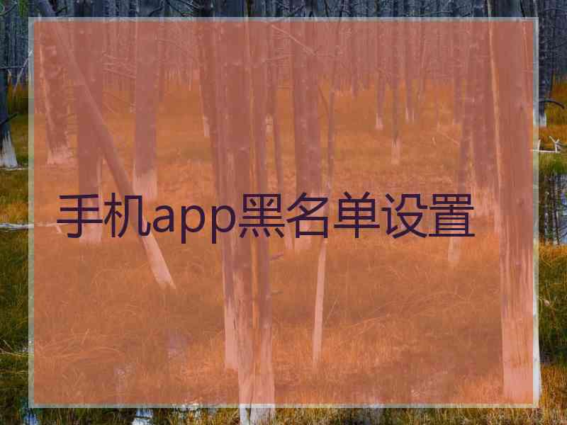 手机app黑名单设置