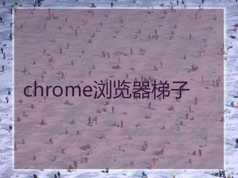 chrome浏览器梯子