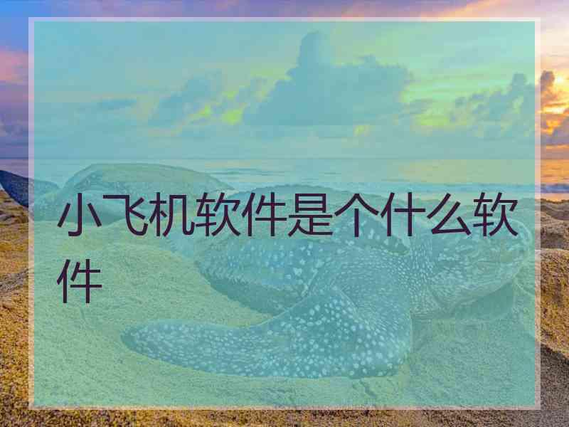 小飞机软件是个什么软件