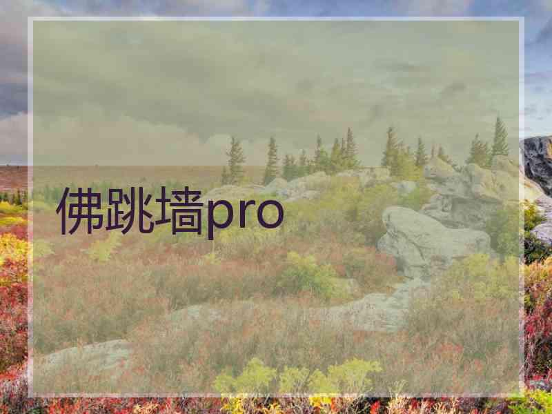 佛跳墙pro