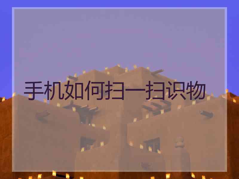 手机如何扫一扫识物