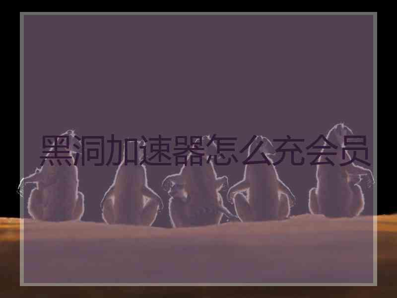 黑洞加速器怎么充会员