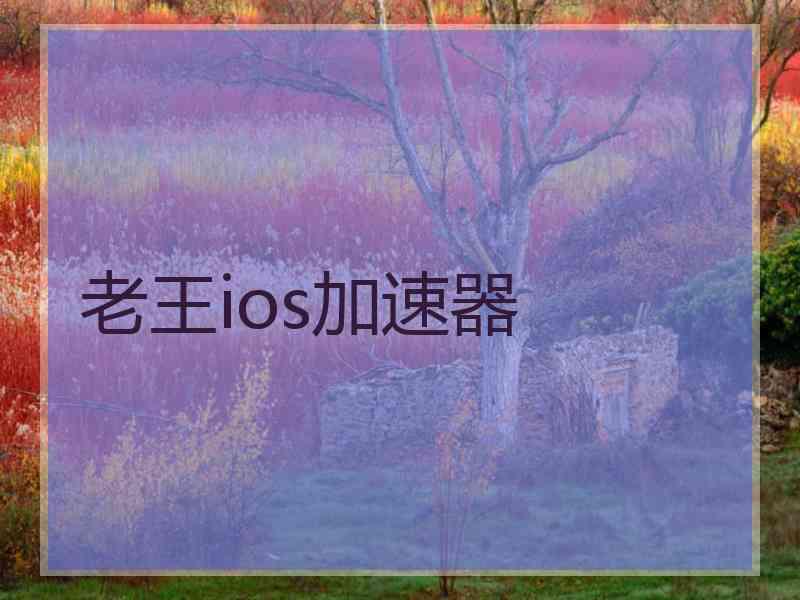 老王ios加速器