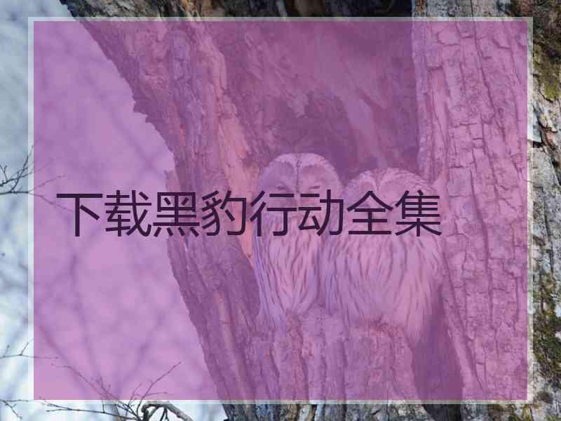 下载黑豹行动全集