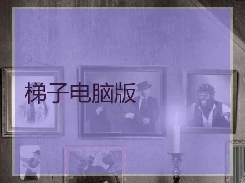 梯子电脑版