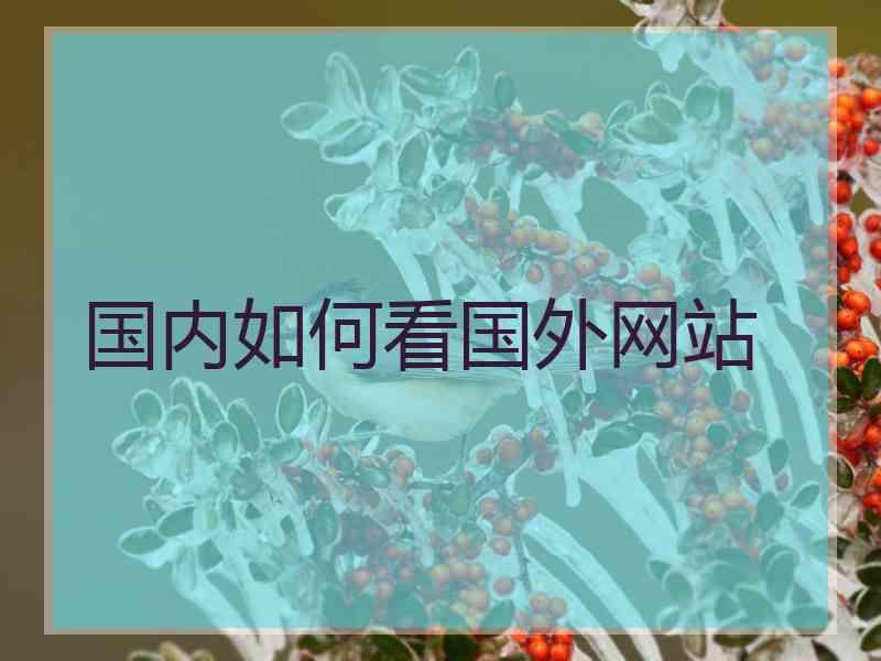 国内如何看国外网站