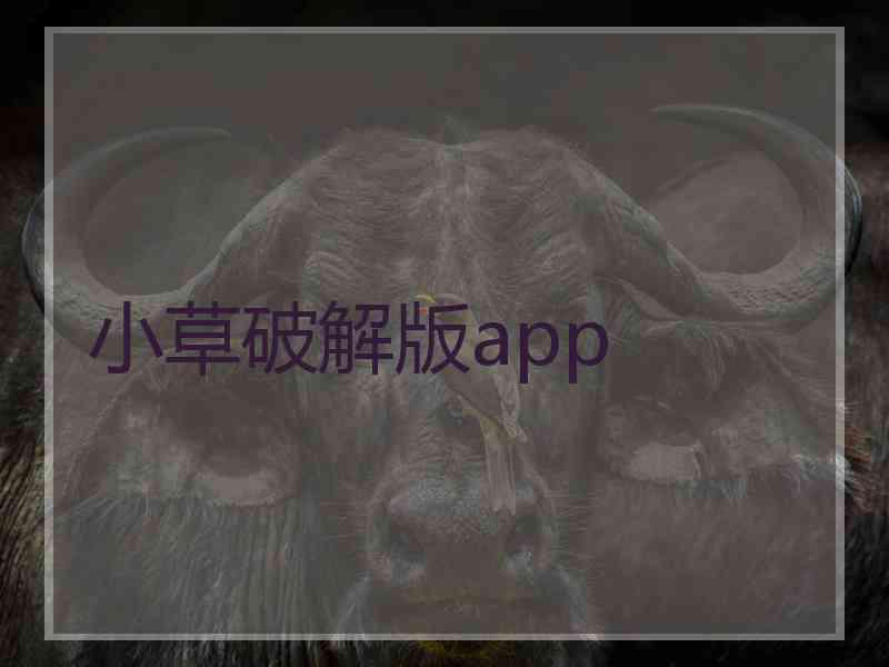 小草破解版app