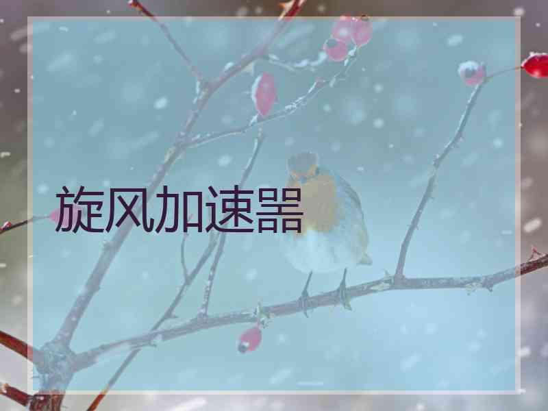 旋风加速噐