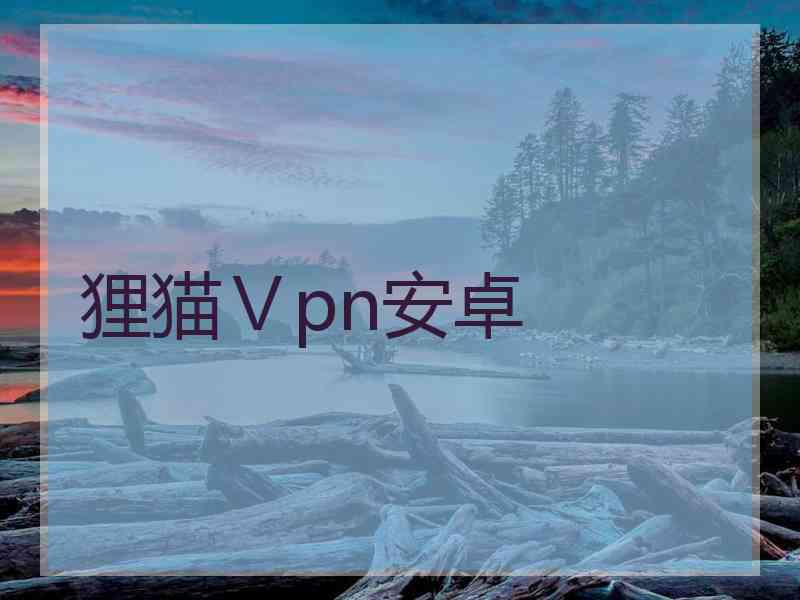 狸猫Ⅴpn安卓