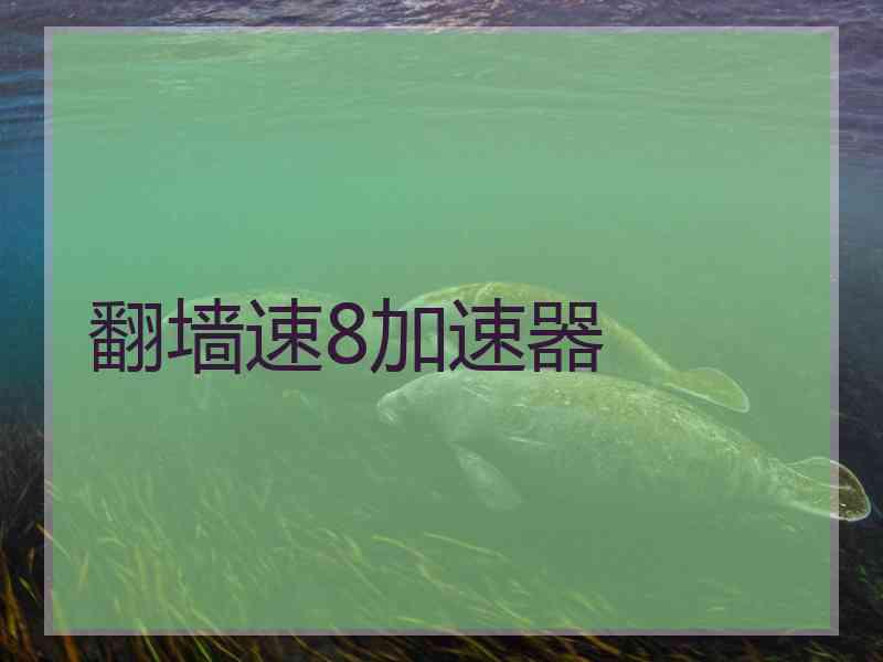 翻墙速8加速器