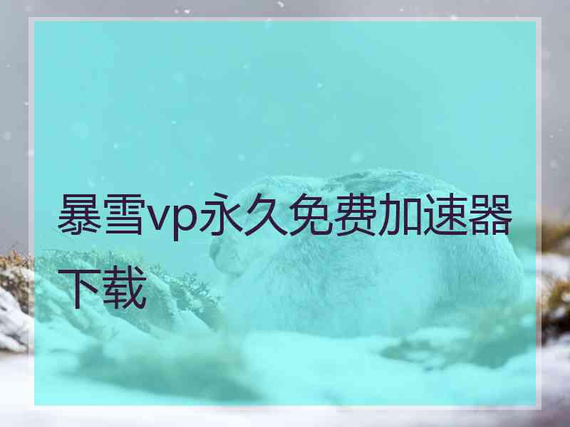 暴雪vp永久免费加速器下载