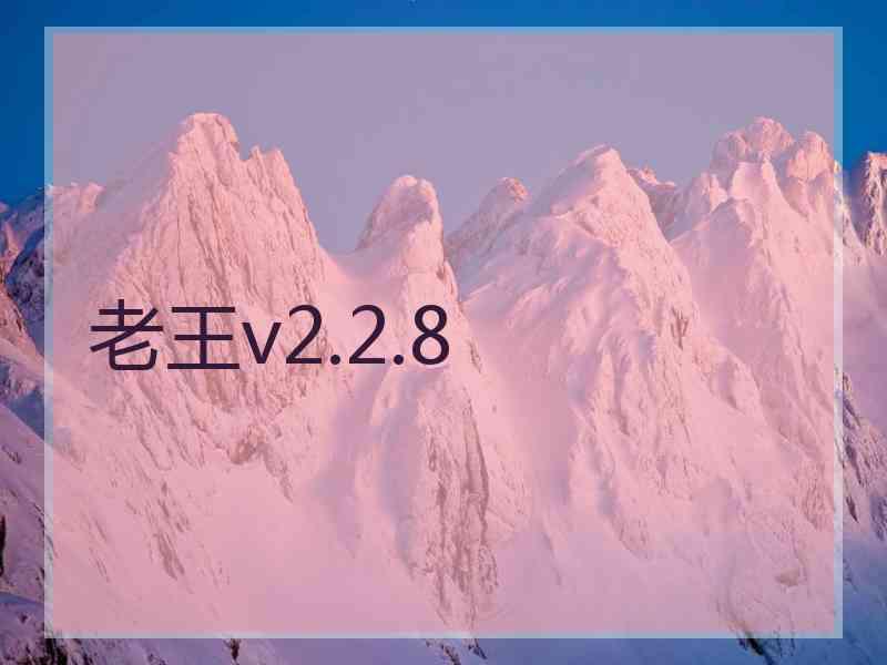 老王v2.2.8